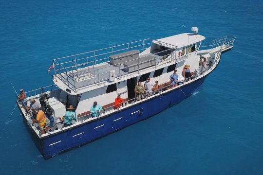 Surf or Turf? An insider’s guide to finding the best Key West tours [UPDATED]