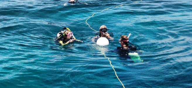 Key West PADI Advanced Open Water Diver Certification Image 1