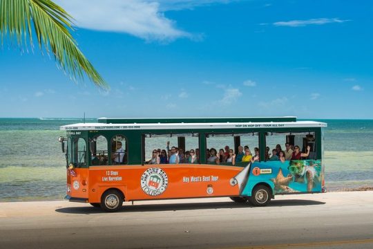 Key West Shore Excursion: Key West Hop-On Hop-Off Trolley Tour