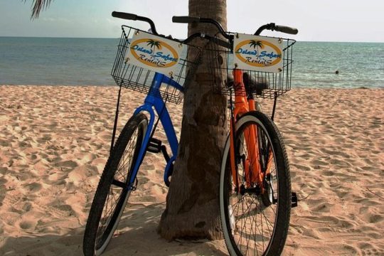 One Day Bike Rental in Key West