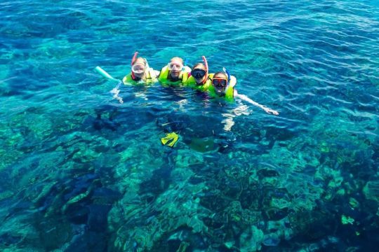 Reef Snorkel & Sail Adventure – Afternoon