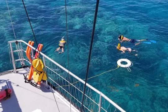 Reef Snorkel & Sail Adventure – Afternoon