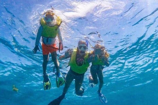 Group Snorkeling at Coffin’s Patch Reef