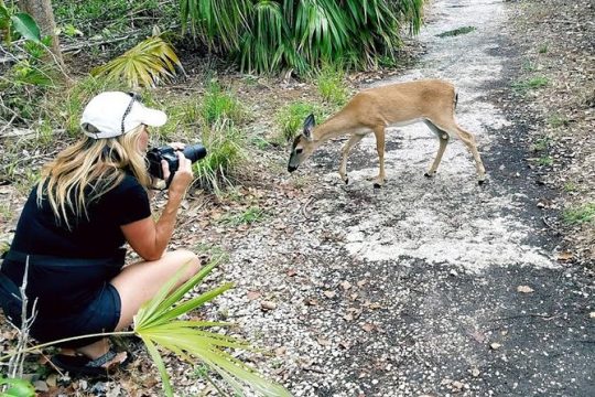 Full-Day Tour to Florida Keys Aquarium Encounters from Key West