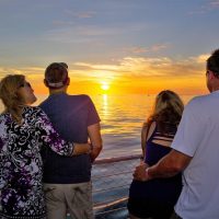 Boat Tours