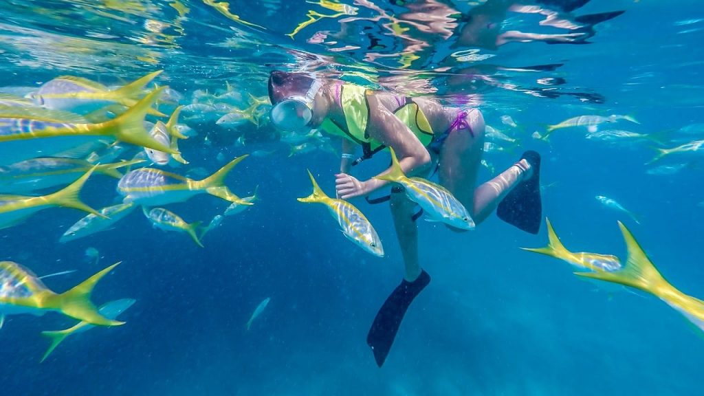 Key West Original Watersports Adventure: Full-Day Snorkel, Jet Ski, Parasail, Banana Boat, Kayak (breakfast, lunch & drinks included) Image 2