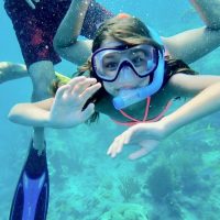 Cruises, Sailing & Water Tours