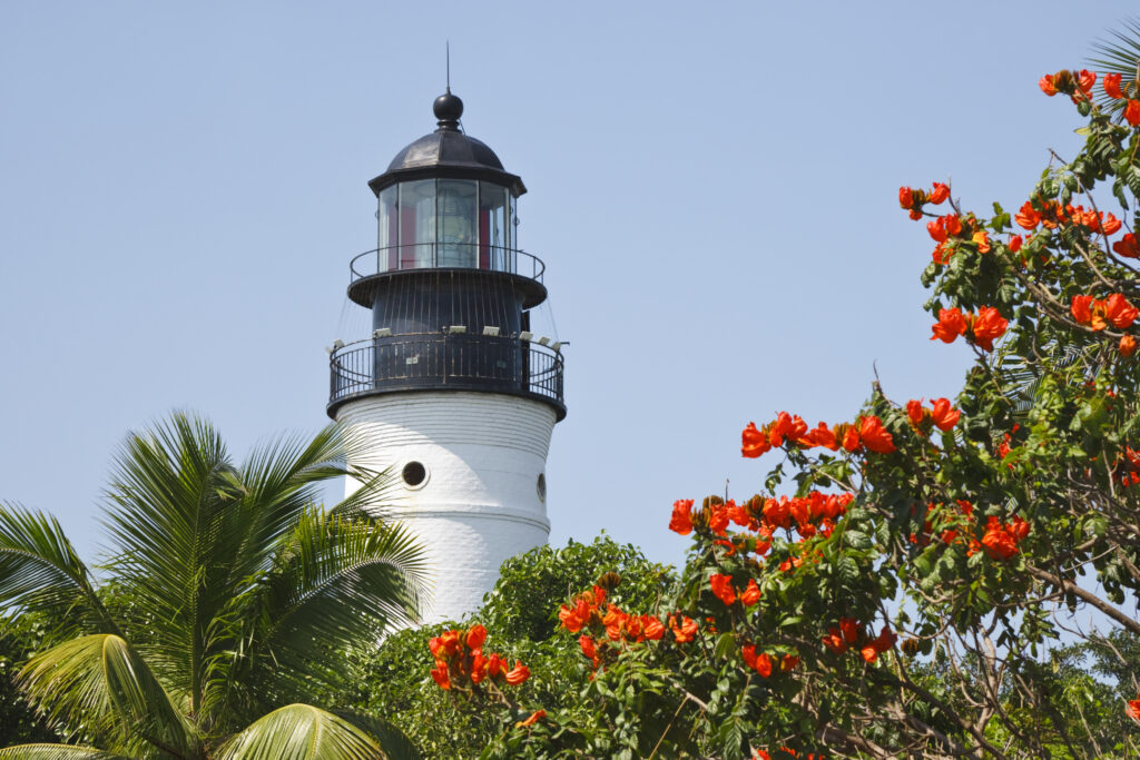 boat tour miami to key west