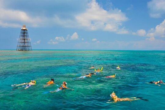Key West Florida Reef Half-Day Snorkeling Excursion