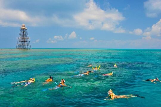 Key West Florida Reef Half-Day Snorkeling Excursion