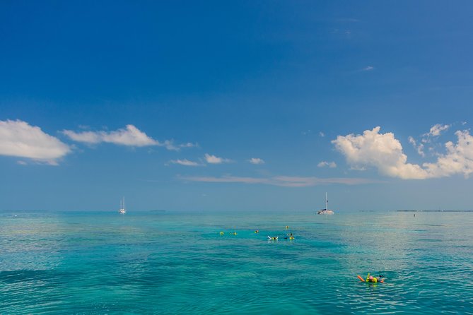 Key West Florida Reef Half-Day Snorkeling Excursion Image 6