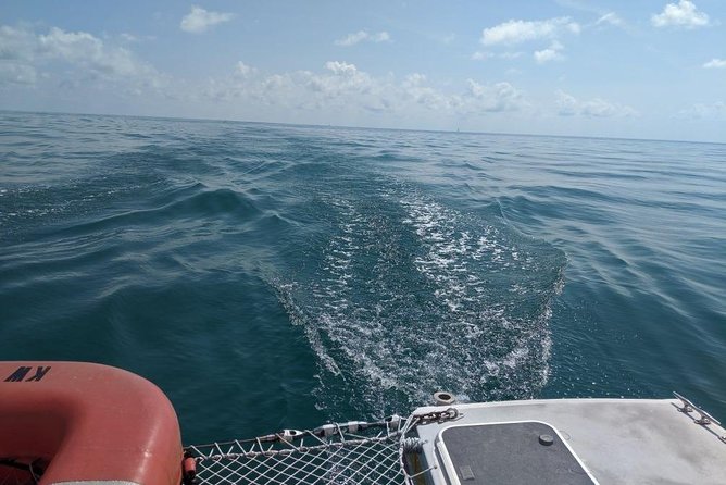Key West Florida Reef Half-Day Snorkeling Excursion Image 7