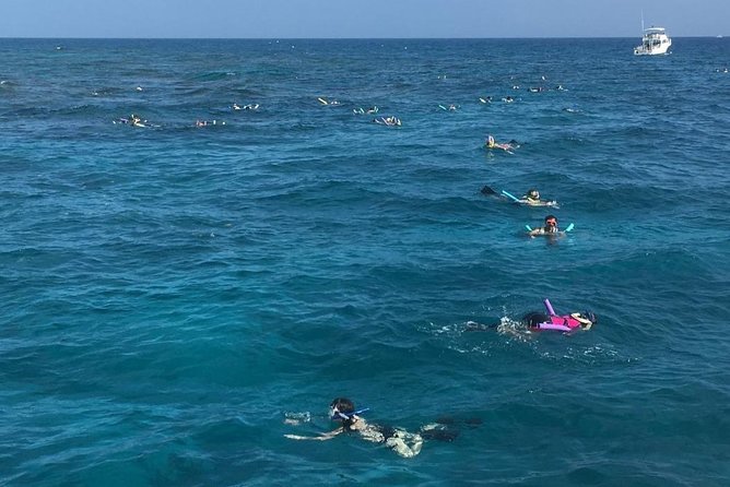 Key West Florida Reef Half-Day Snorkeling Excursion Image 8