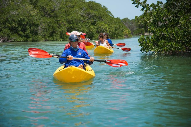 Key West Full-Day Island T’ing Eco-Tour: Sail, Snorkel and Kayak Adventure Image 7