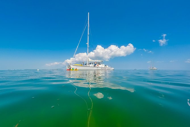 Key West Full-Day Island T’ing Eco-Tour: Sail, Snorkel and Kayak Adventure Image 8