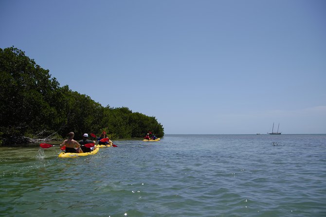 Key West Full-Day Island T’ing Eco-Tour: Sail, Snorkel and Kayak Adventure Image 11
