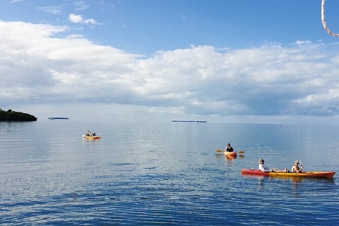 Key West Full-Day Island T’ing Eco-Tour: Sail, Snorkel and Kayak Adventure Image 12