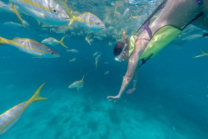Key West Original Watersports Adventure: Full-Day Snorkel, Jet Ski, Parasail, Banana Boat, Kayak (breakfast, lunch & drinks included) Image 12