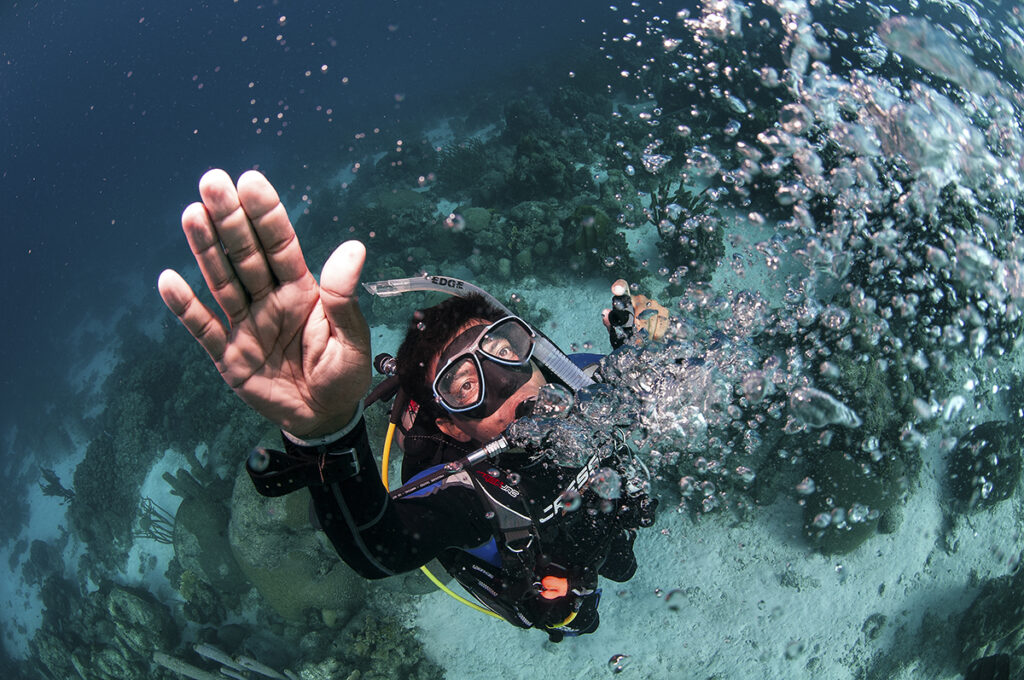 Key West Dive in a Day Scuba Resort Course Image 1