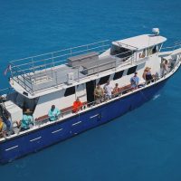 Fishing Charters & Tours