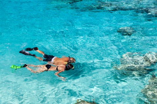 Explore North America’s only living coral reef with Tours of Key West